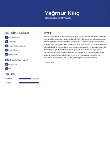 Okul Öncesi Öğretmeni Öğretmenliği Cv Örnekleri cv indir